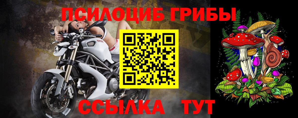 Галлюциногенные грибы Psilocybe  Вход с VPN  Чехов 
